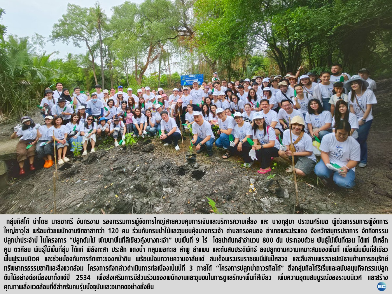 กลุ่มทิสโก้ เดินหน้าปลูกป่าบางกระเจ้าต่อเนื่องปีที่ 3