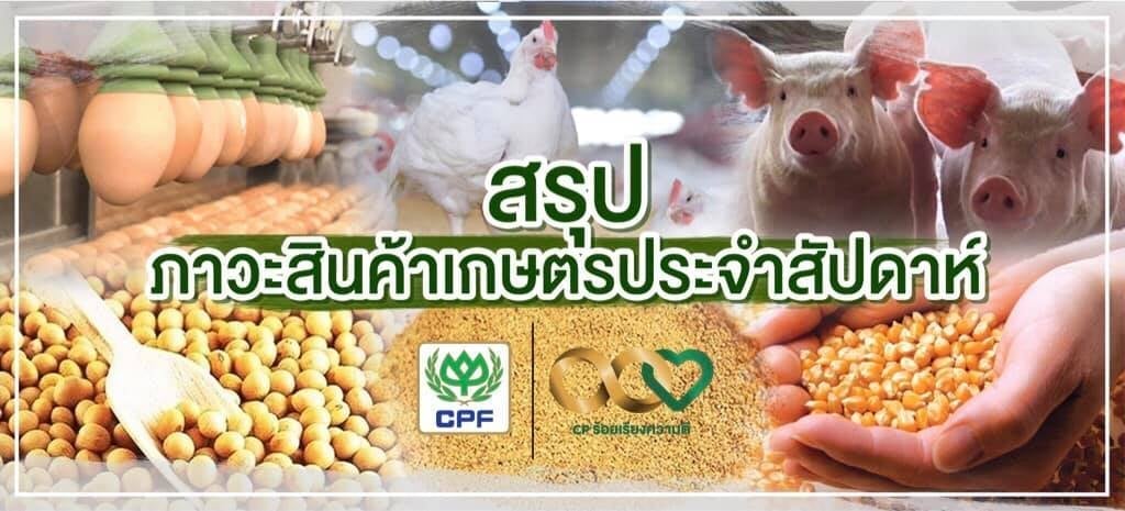 แนวโน้มสินค้าเกษตร 'กากถั่วเหลือง' ราคาเพิ่มขึ้น 'ข้าว-ปลาป่น' ลดลง